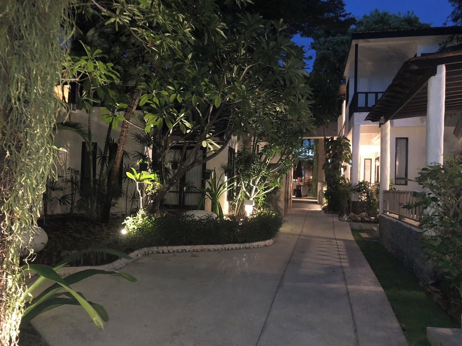 A pathway leading to a building with a covered entrance, surrounded by lush greenery and trees.
