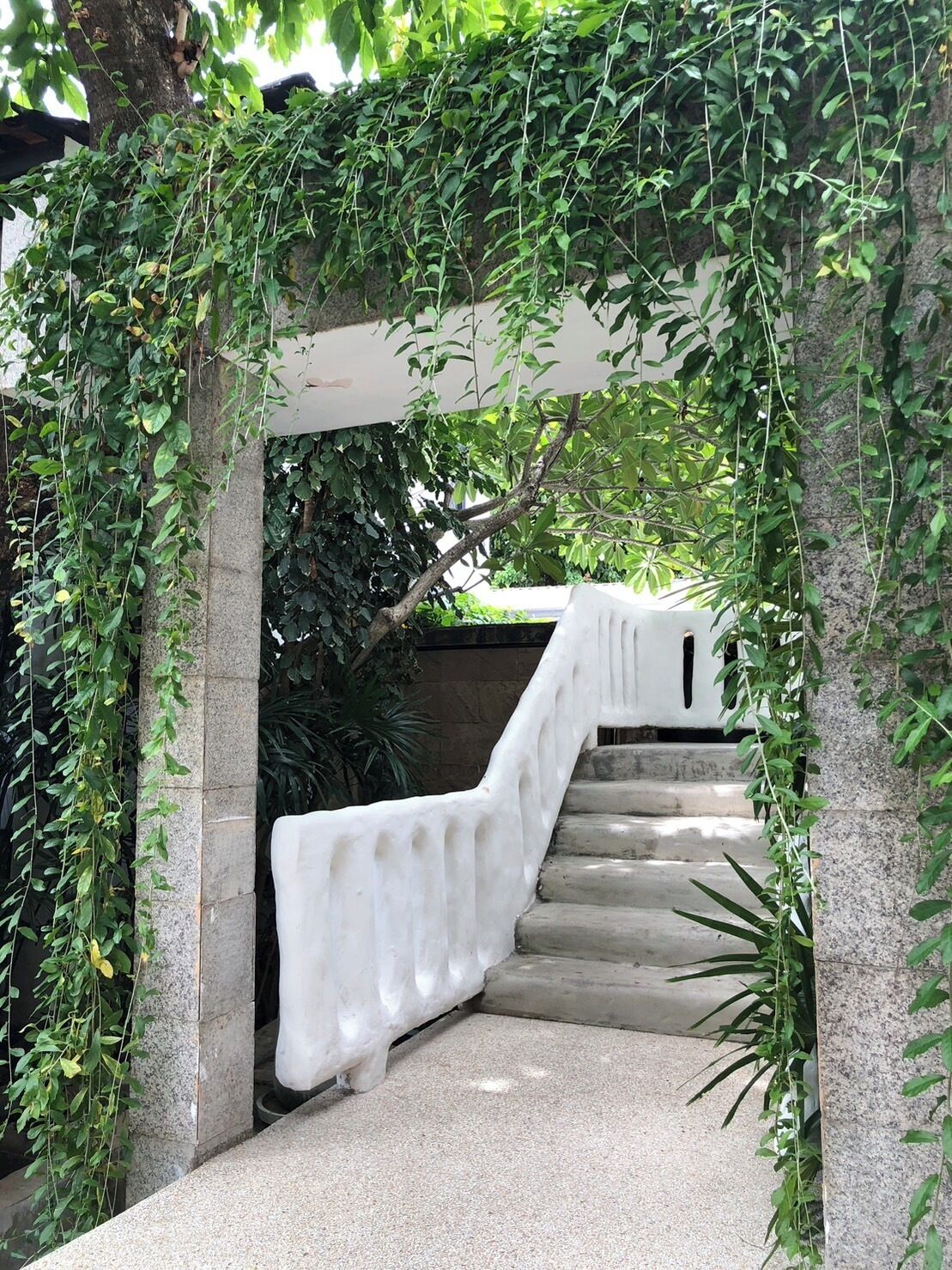 A concrete staircase with a white, textured handrail, surrounded by lush greenery and climbing plants.