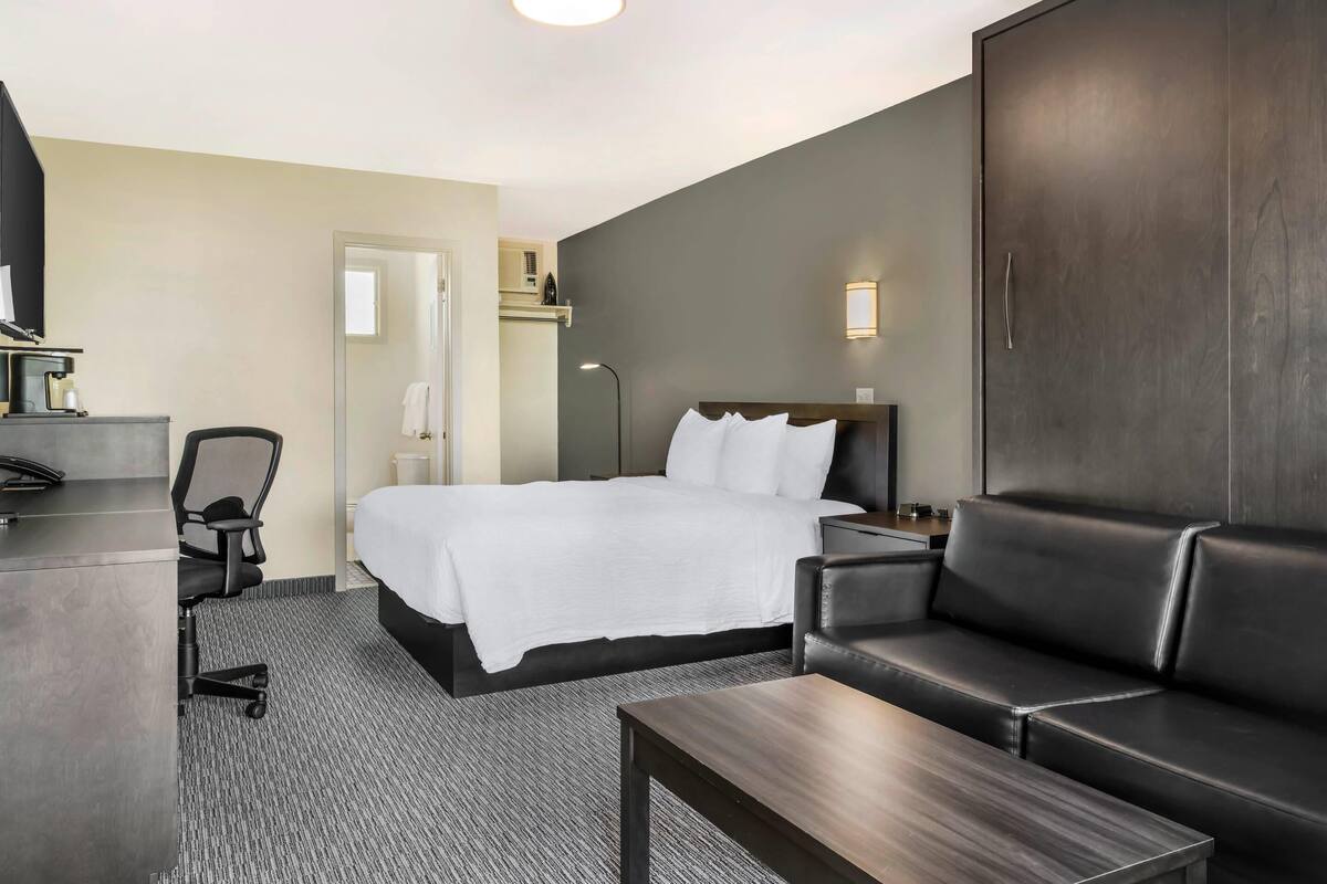 A hotel room with a bed, a desk, a chair, a sofa, and a bedside table.