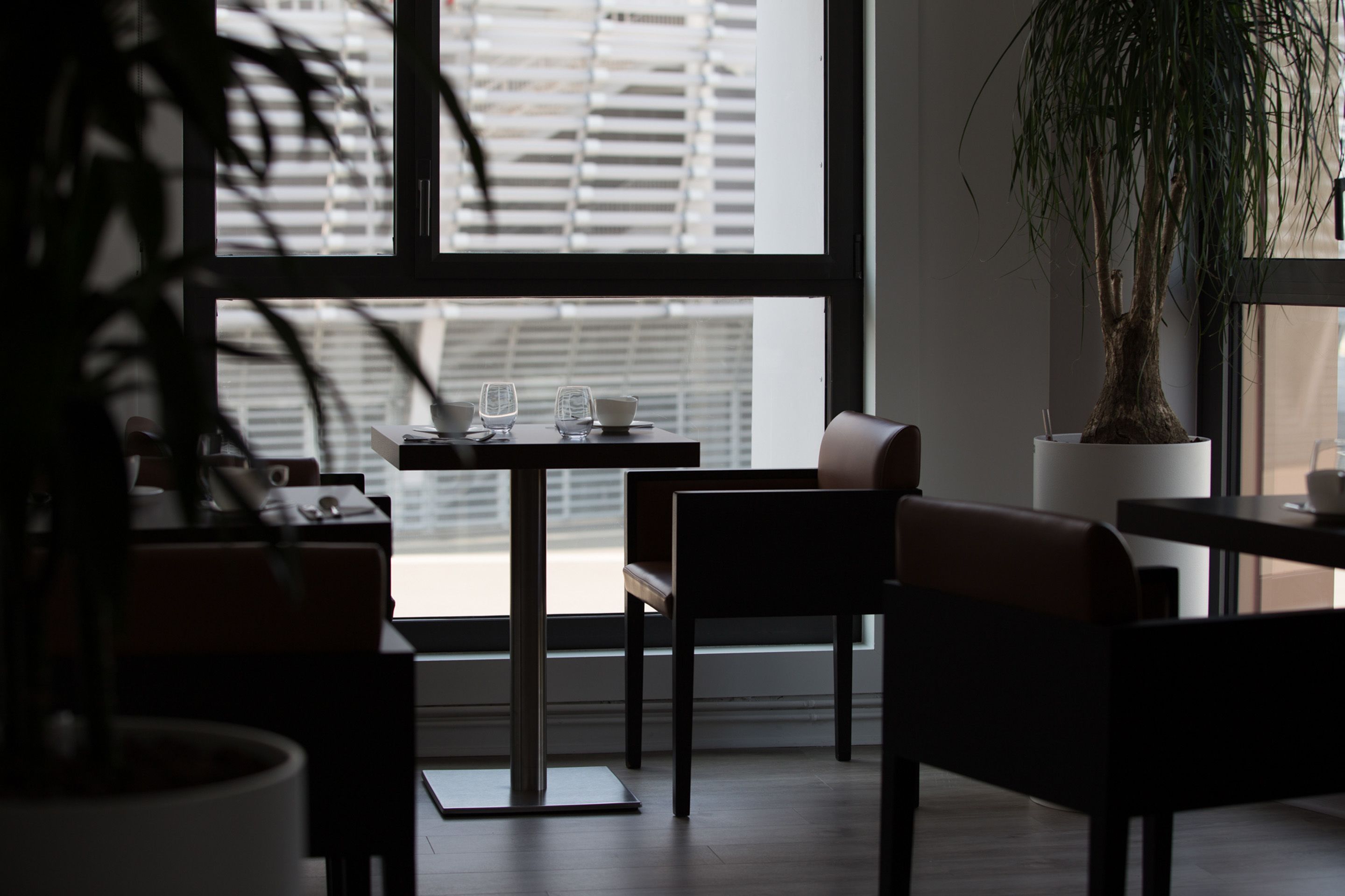 A modern interior with a dining area featuring a table and chairs, a potted plant, and a view through the window.