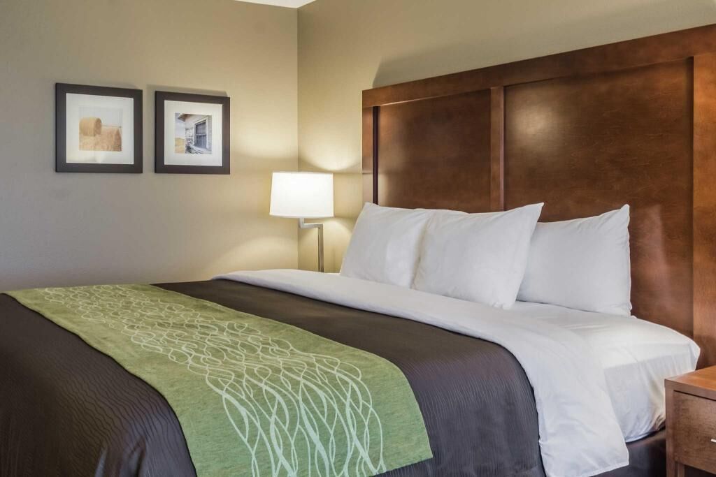 Premium bedding, pillow-top beds, in-room safe, desk