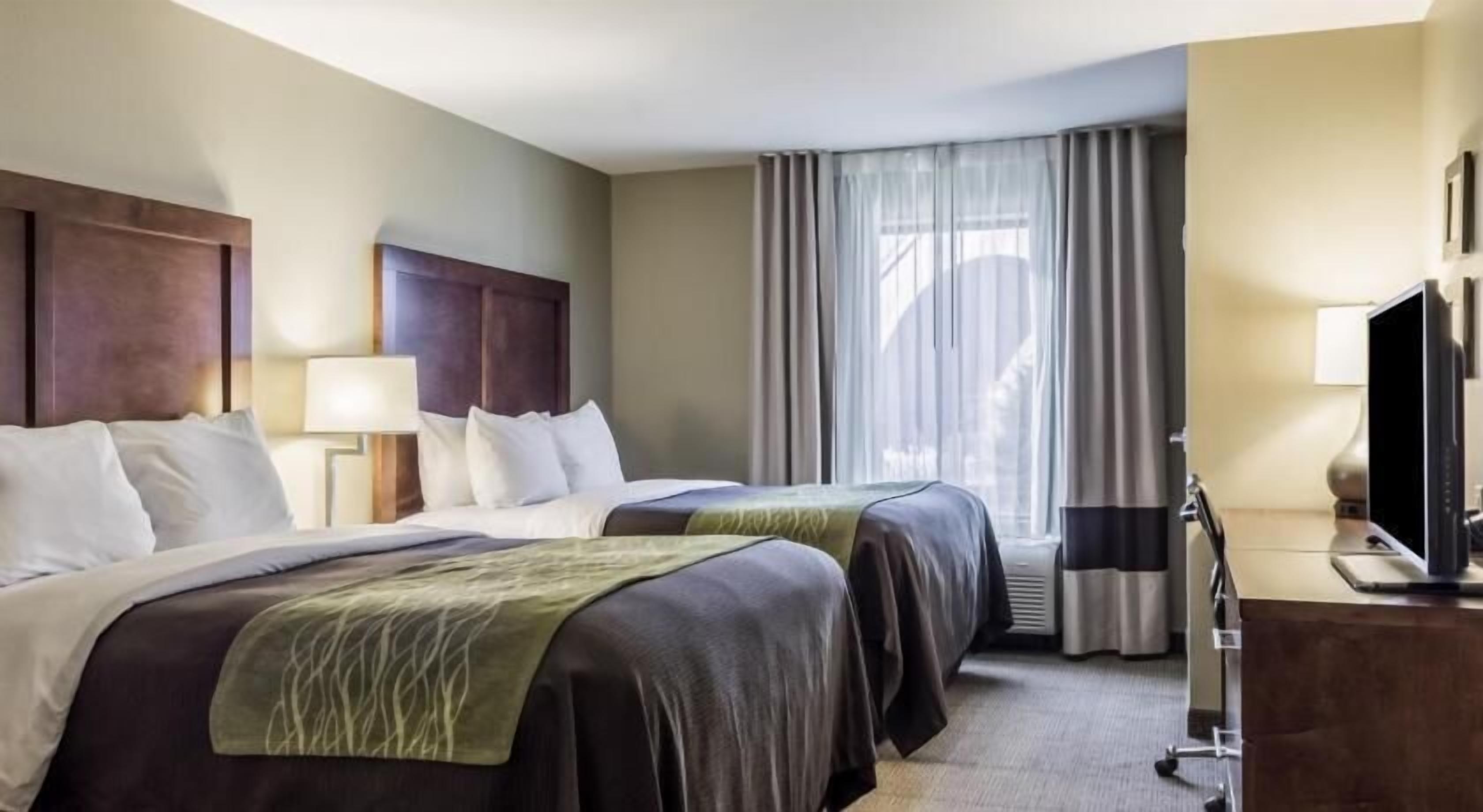 Premium bedding, pillow-top beds, in-room safe, desk