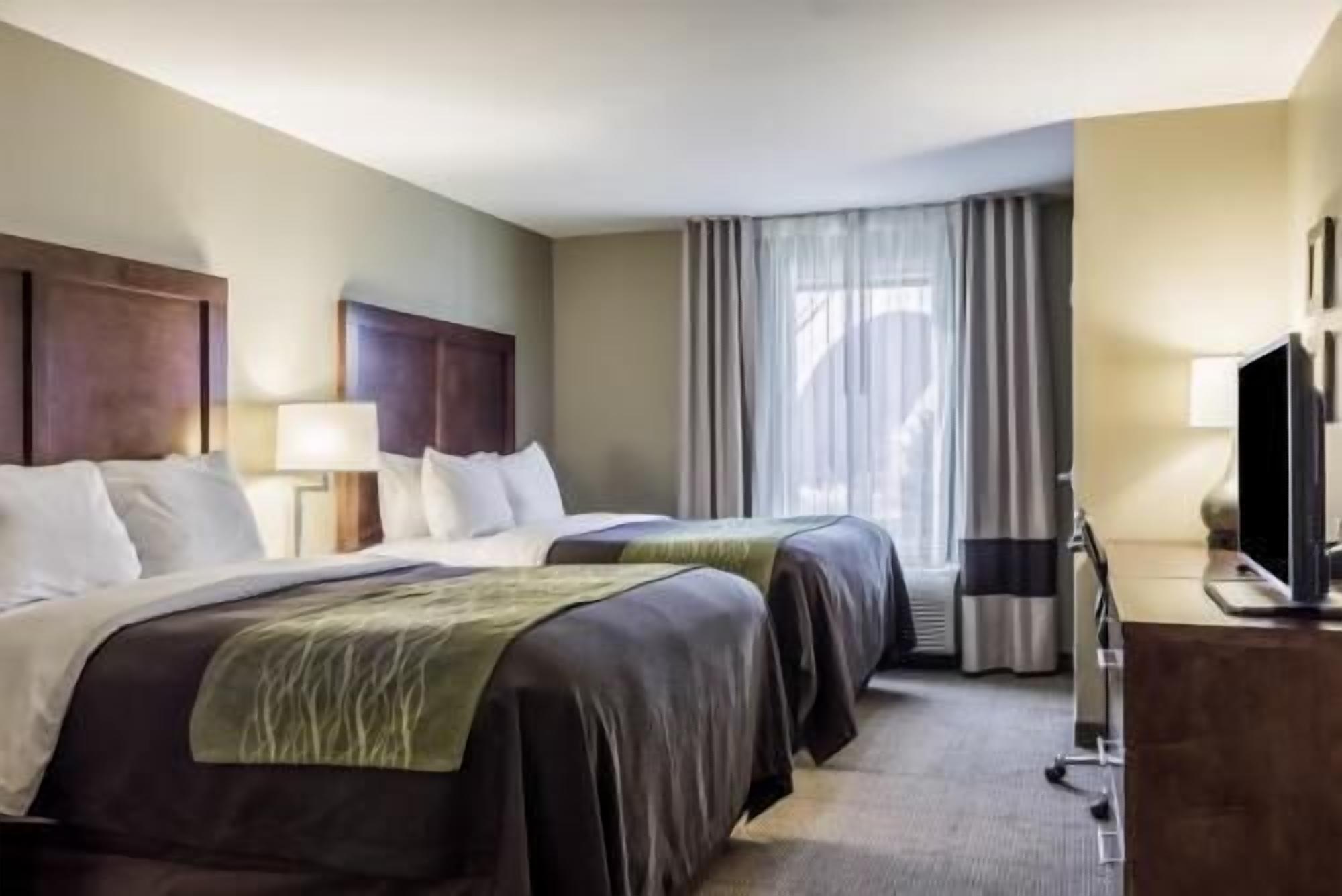 Premium bedding, pillow-top beds, in-room safe, desk