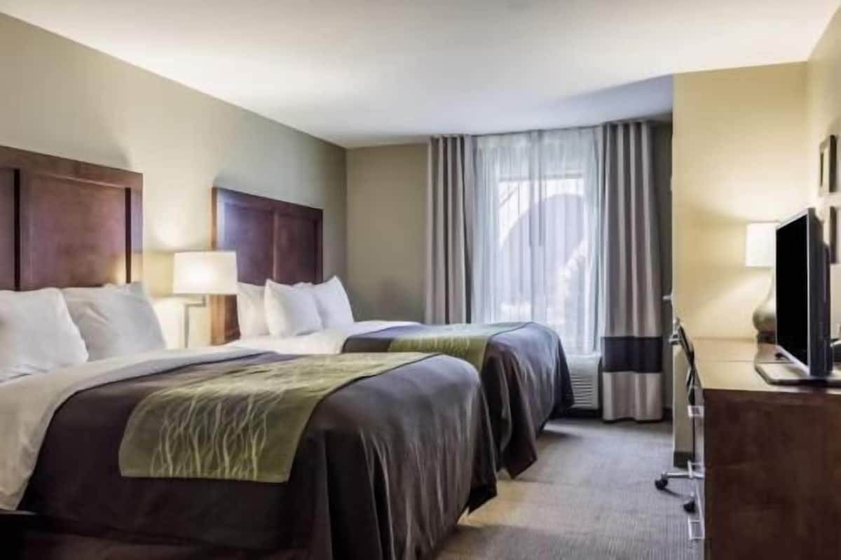 Premium bedding, pillow-top beds, in-room safe, desk