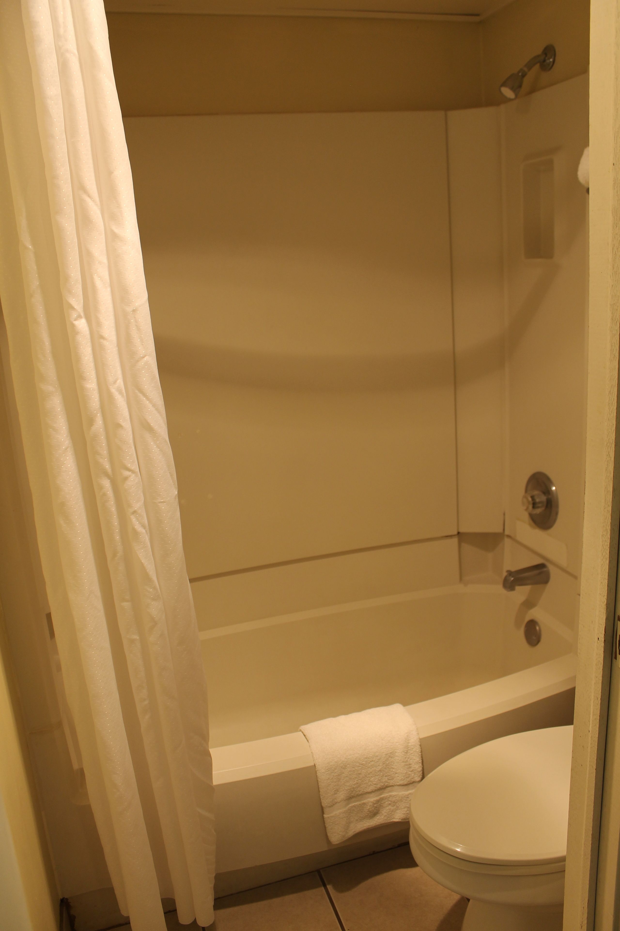 Combined shower/tub, towels, soap, shampoo