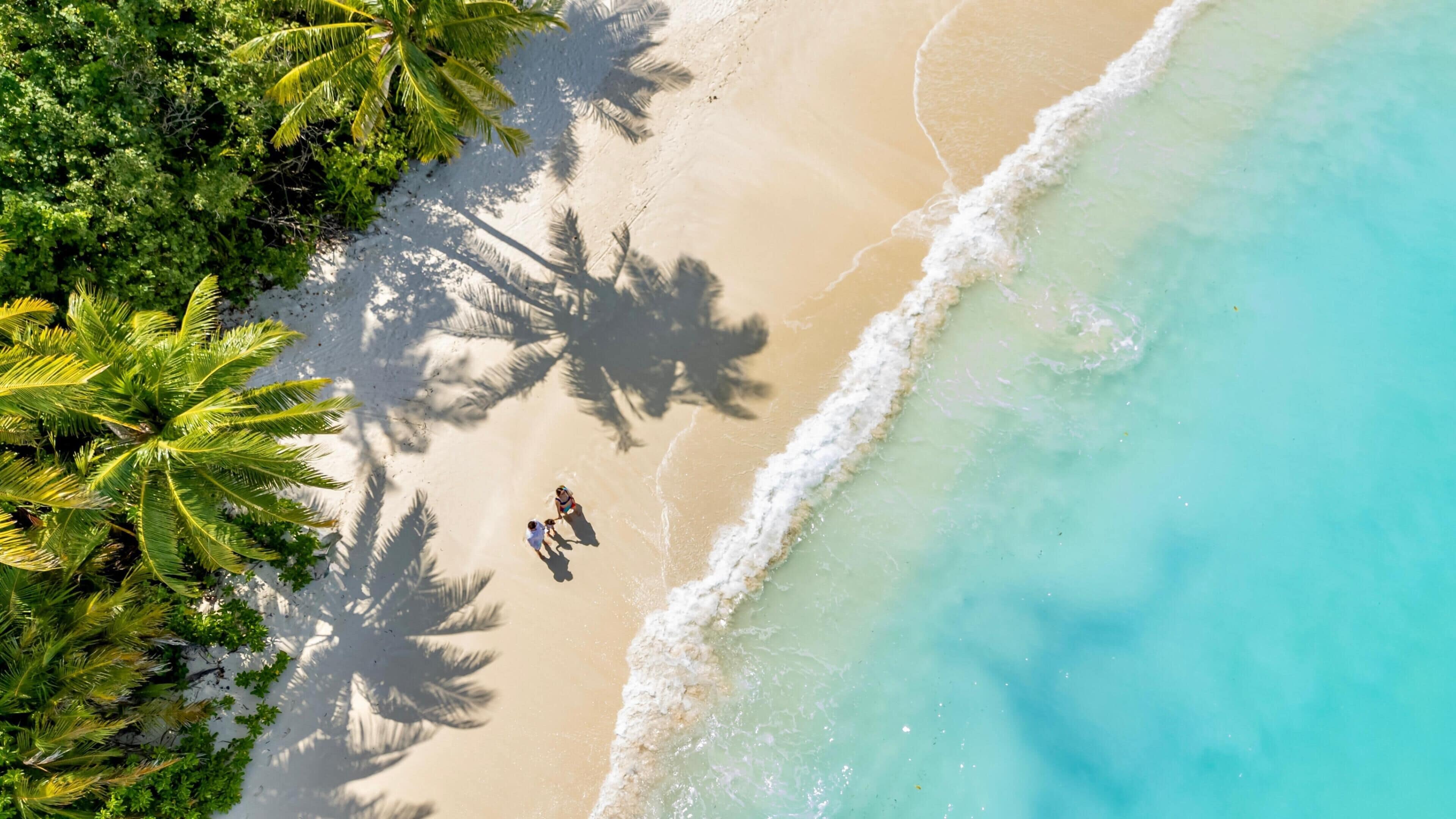 Vista aérea de una playa con palmeras y un mar turquesa cristalino.