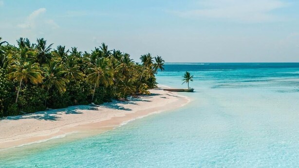 A clear turquoise sea with a sandy beach and palm trees. A small boat with two people is anchored near the shore. - Ayada Maldives (Maguhdhuvaa)