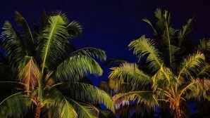 A resort with a thatched-roof structure, palm trees, and outdoor seating. - Ayada Maldives (Maguhdhuvaa)