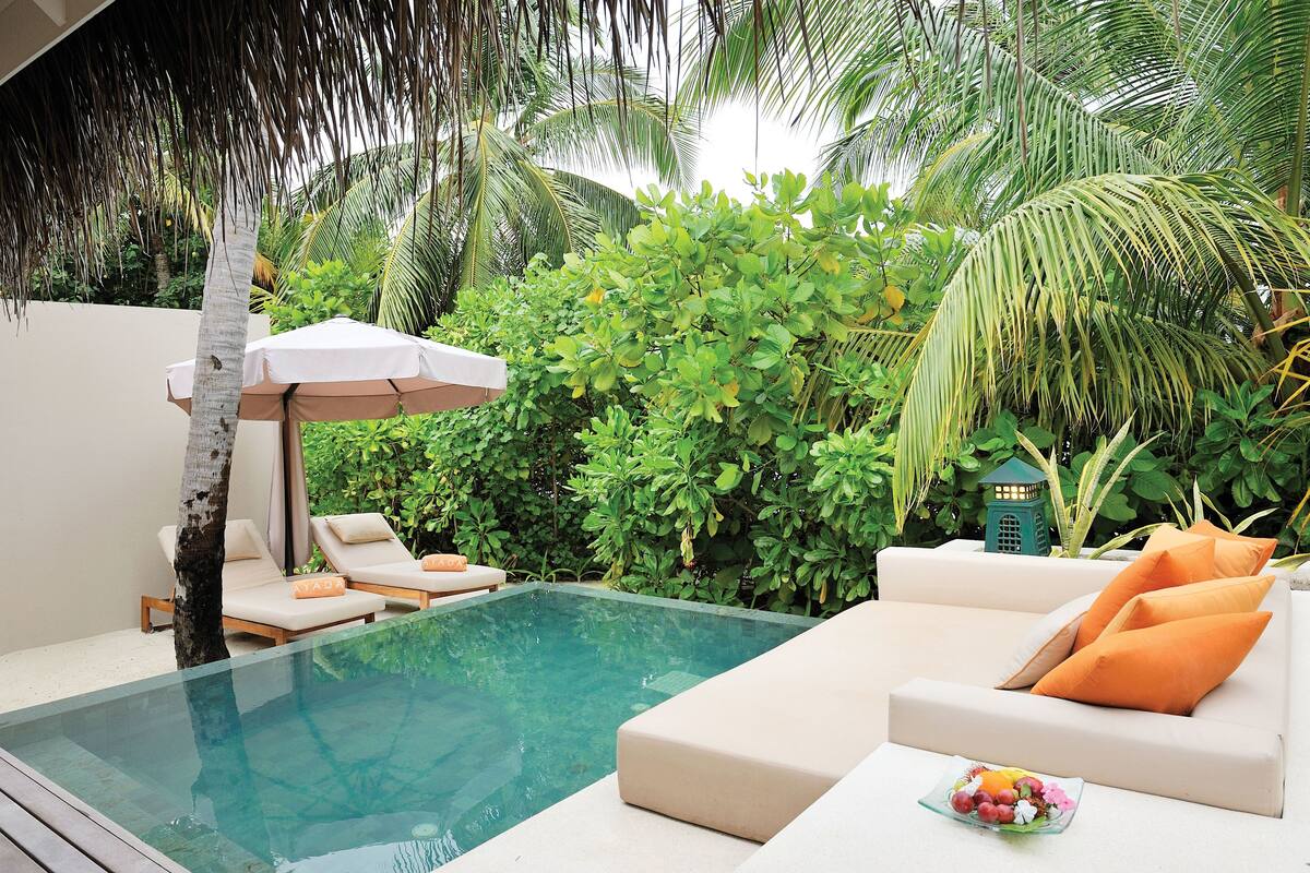A pool area with lounge chairs and an umbrella, surrounded by lush greenery and a small structure.