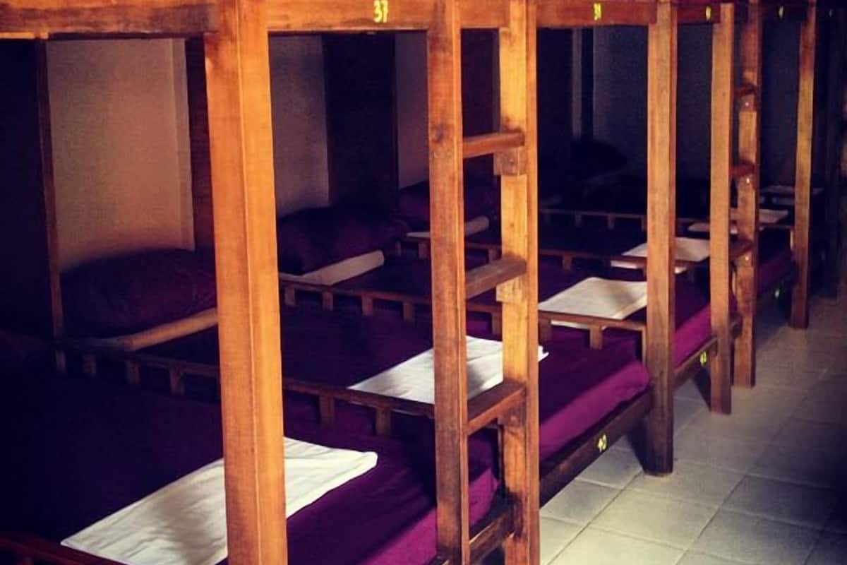 Camas literas con estructura de madera y ropa de cama morada.