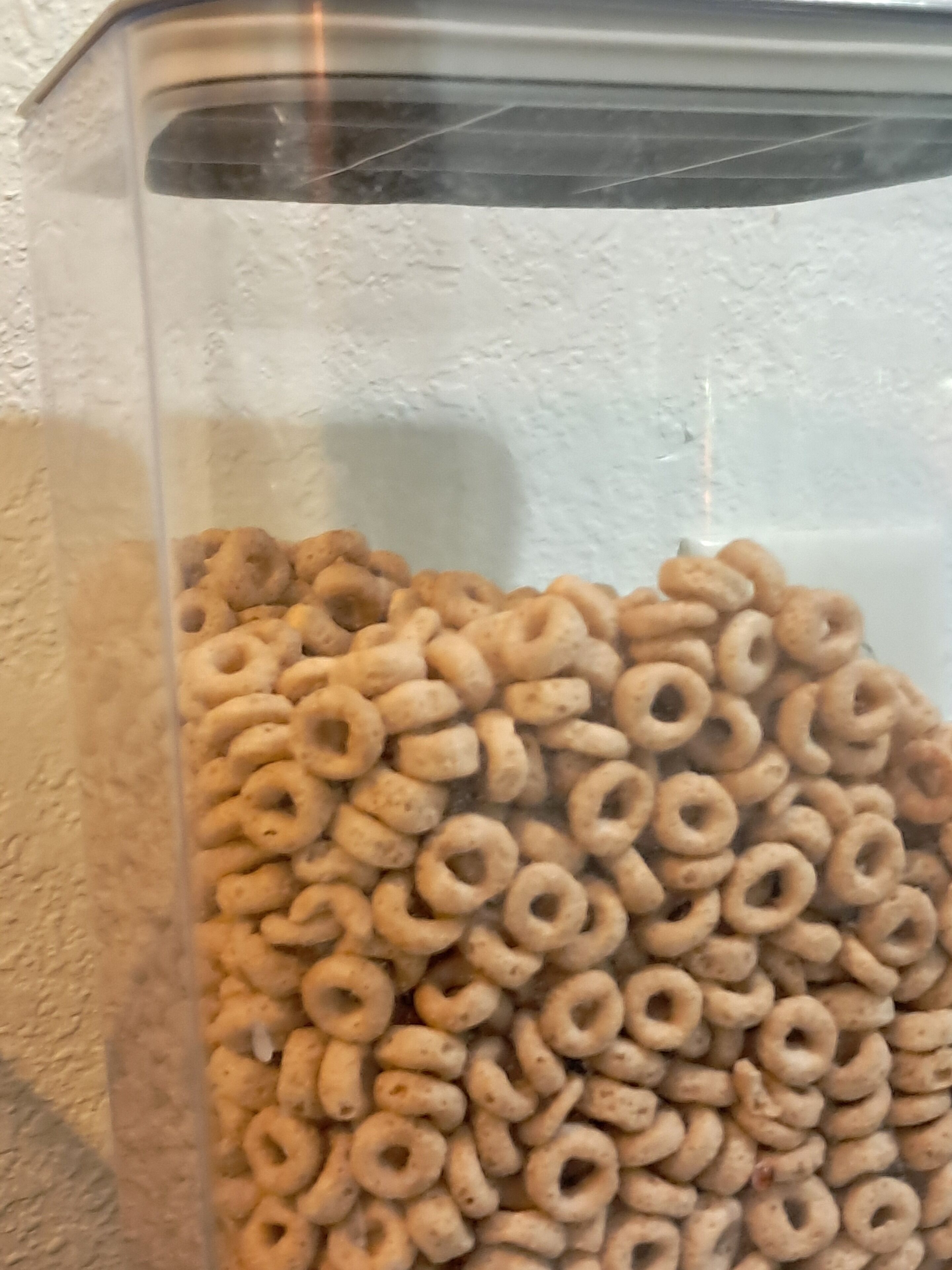 Un recipiente transparente lleno de cereales en forma de aros.