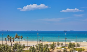Una playa con palmeras, sombrillas y un cielo azul despejado.