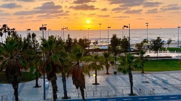 Vista del atardecer desde un ventanal circular con vistas a una playa, palmeras y un paseo marítimo.