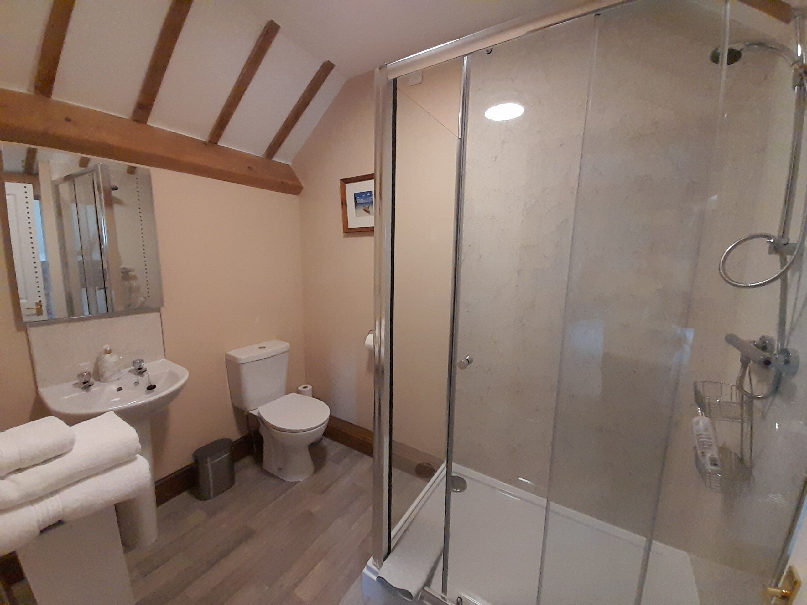 Ein Badezimmer mit Duschkabine, Waschbecken, Toilette und Spiegel.