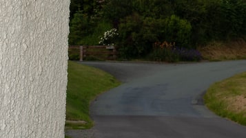 A rural road curving to the right with a wooden fence and greenery on the sides.