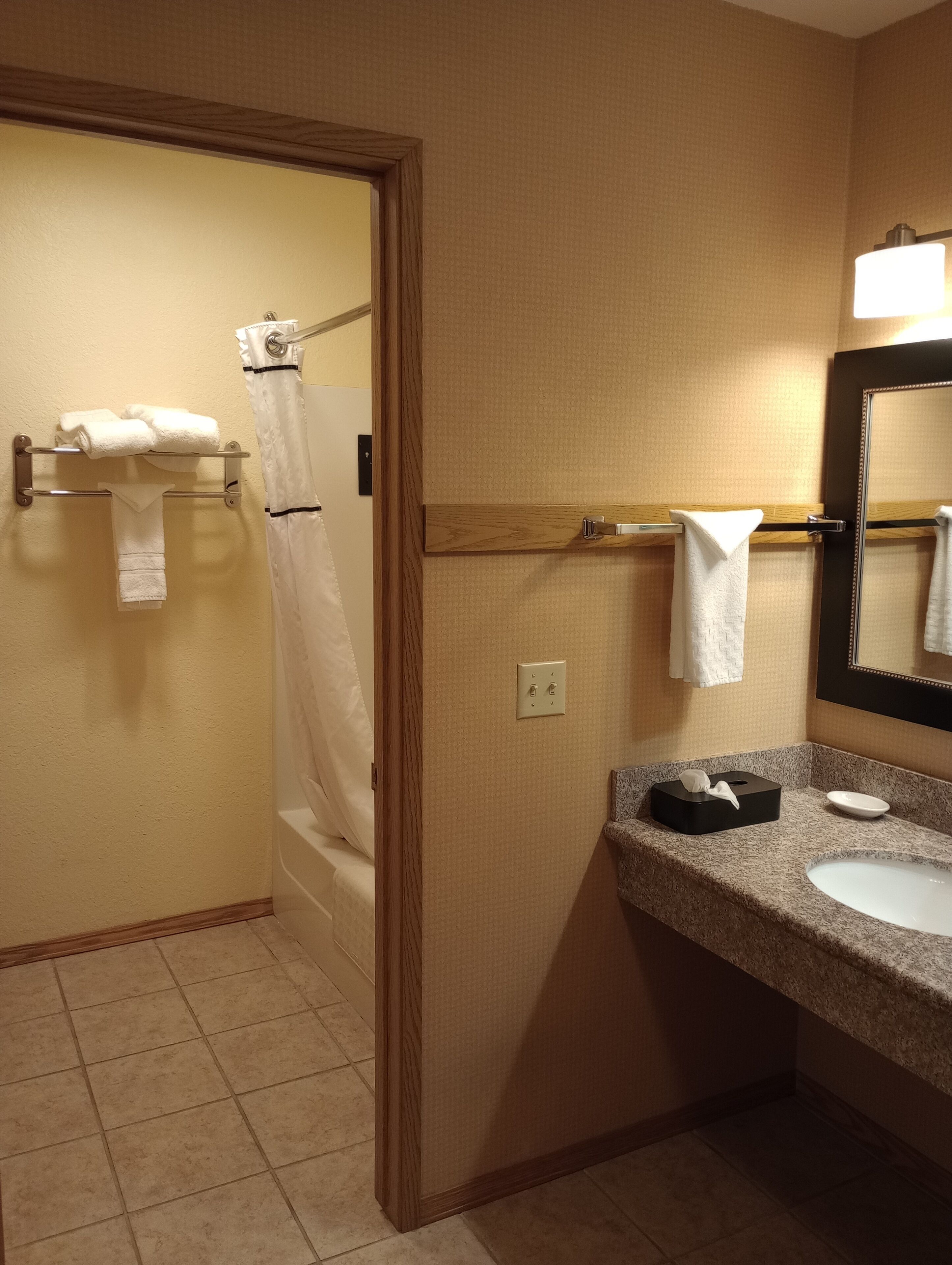 combined shower/bathtub, free toiletries, hair dryer, towels