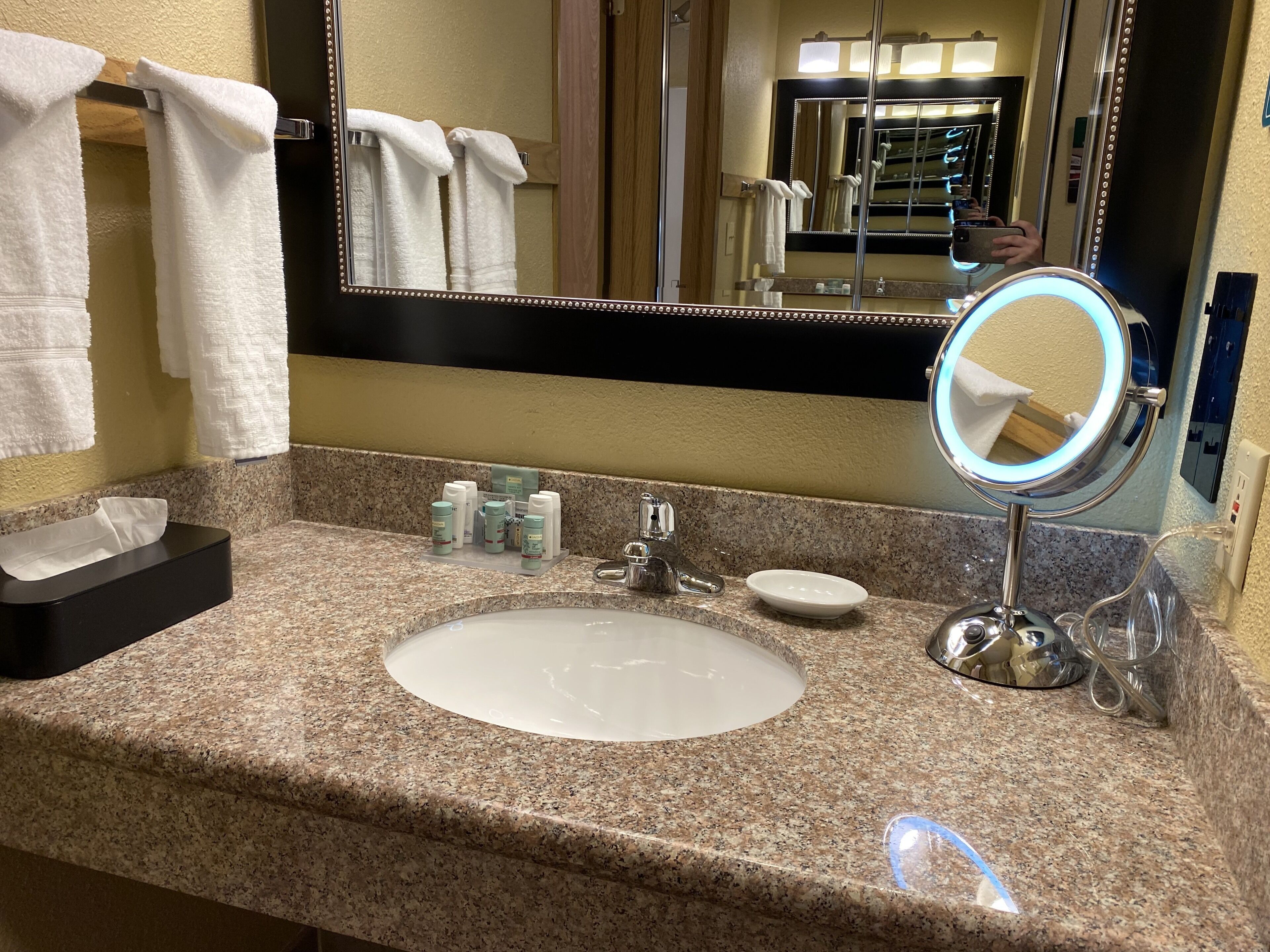 combined shower/bathtub, free toiletries, hair dryer, towels