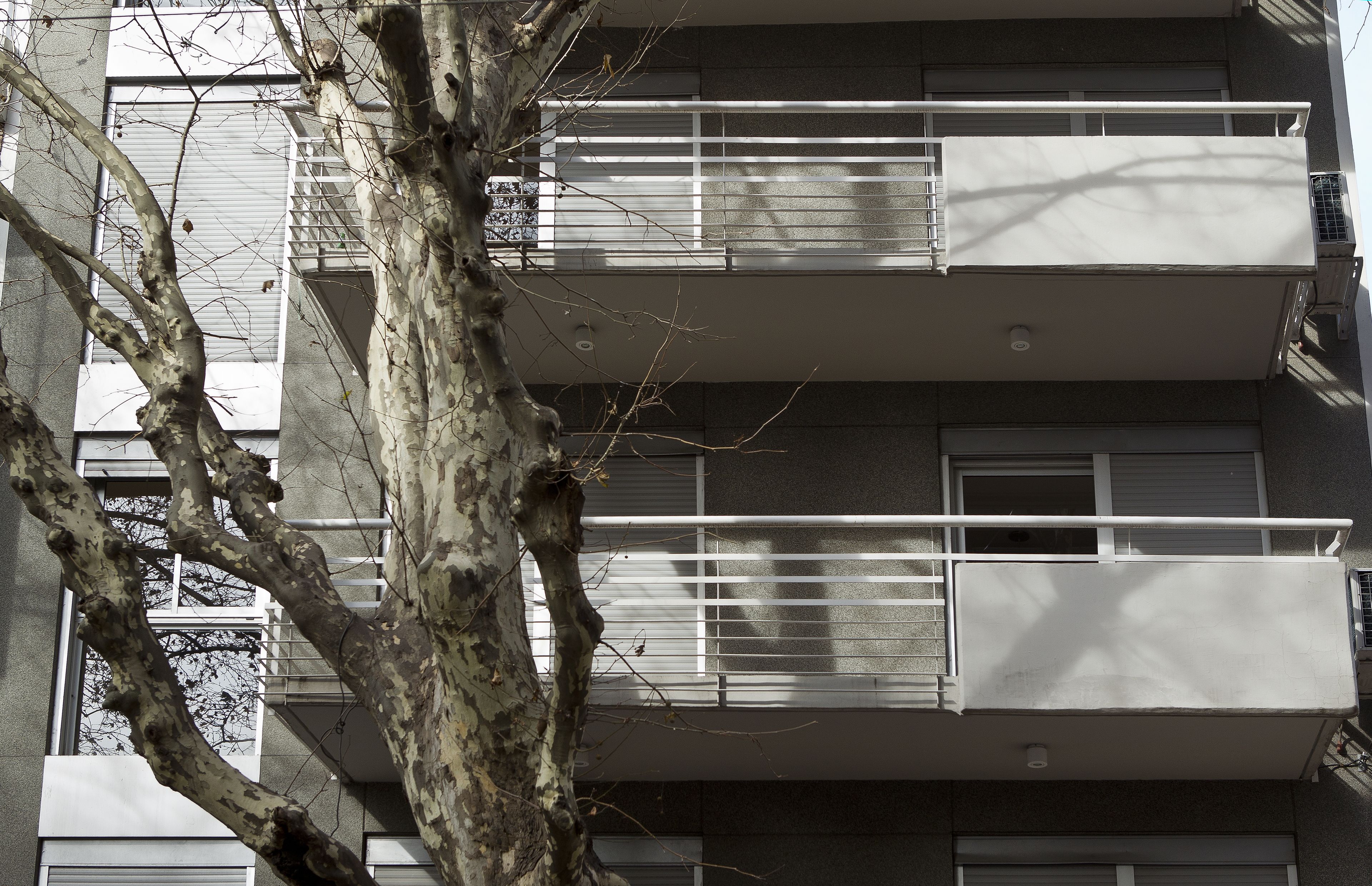 A multi-story building with balconies, a tree in the foreground, and a window with blinds.