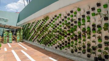 Una pared con numerosos maceteros dispuestos en un patrón de cuadrícula, un suelo de baldosas y un edificio con techo verde al fondo.
