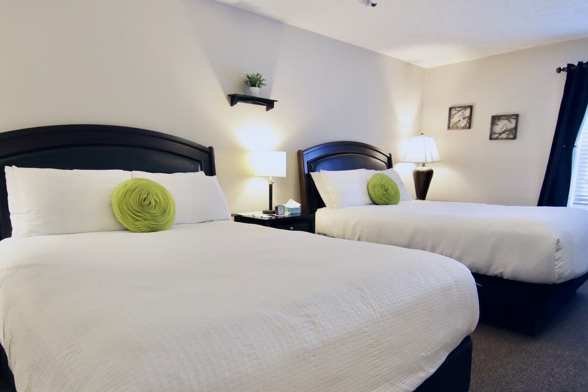 Een hotelkamer met twee bedden, elk met een witte spreidek en een groen accentkussen. Daartussen staat een nachtkastje met een lamp, en erboven, boven het hoofdeinde, een klein plankje met een plant.