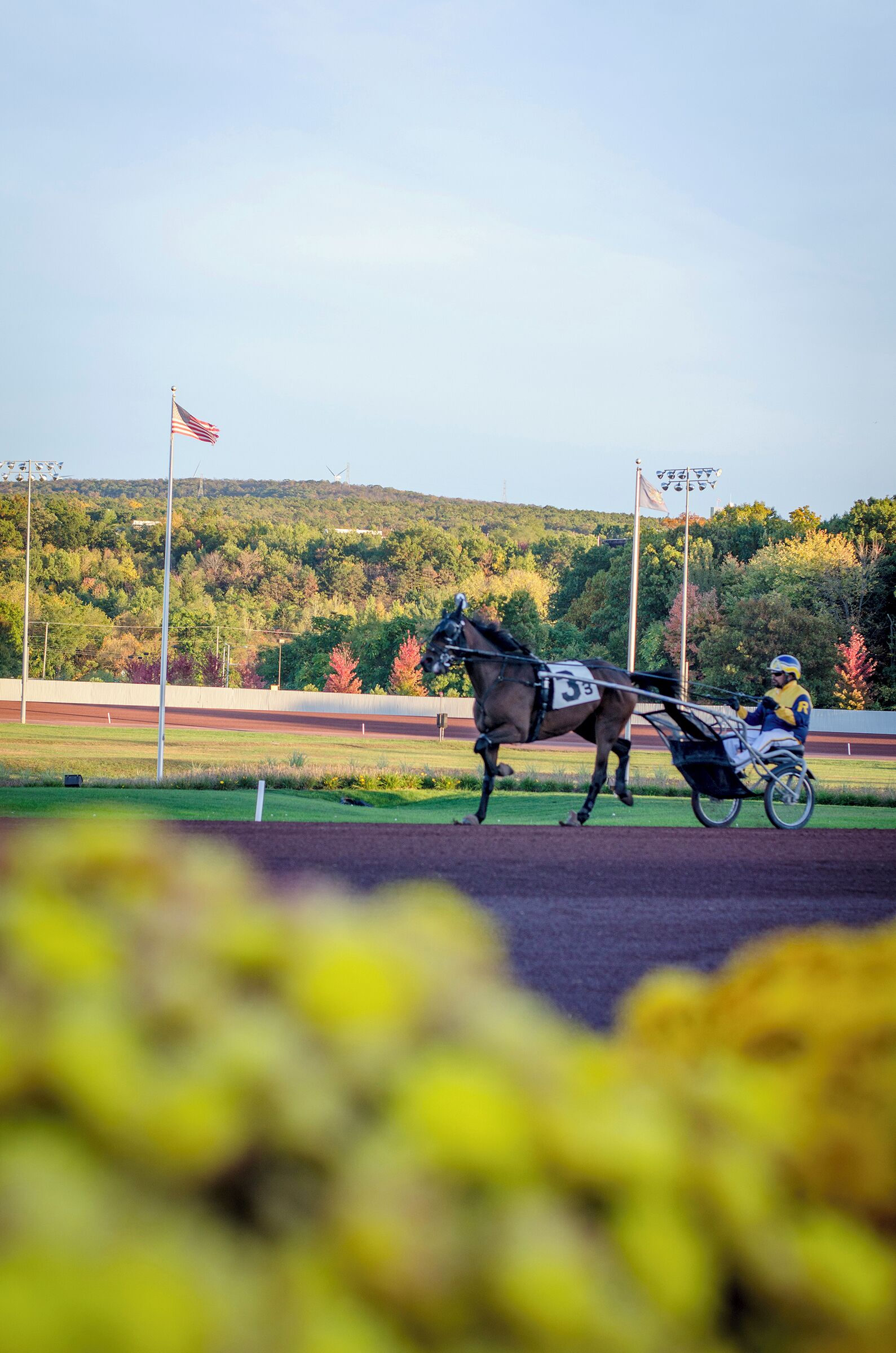 A horse-drawn carriage on a track with a person riding, surrounded by greenery and flags.