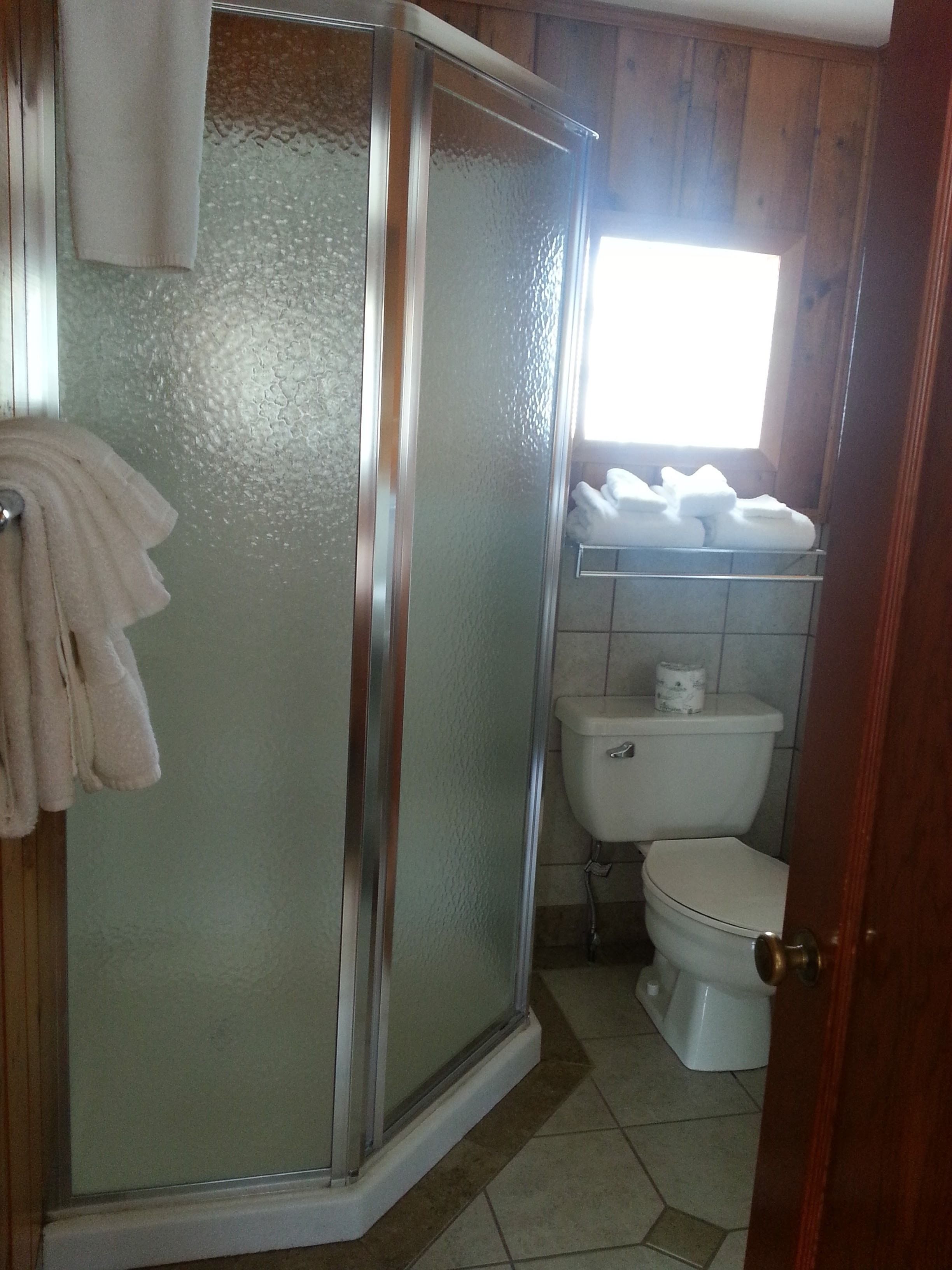 A bathroom with a glass shower enclosure, a toilet, and a window.