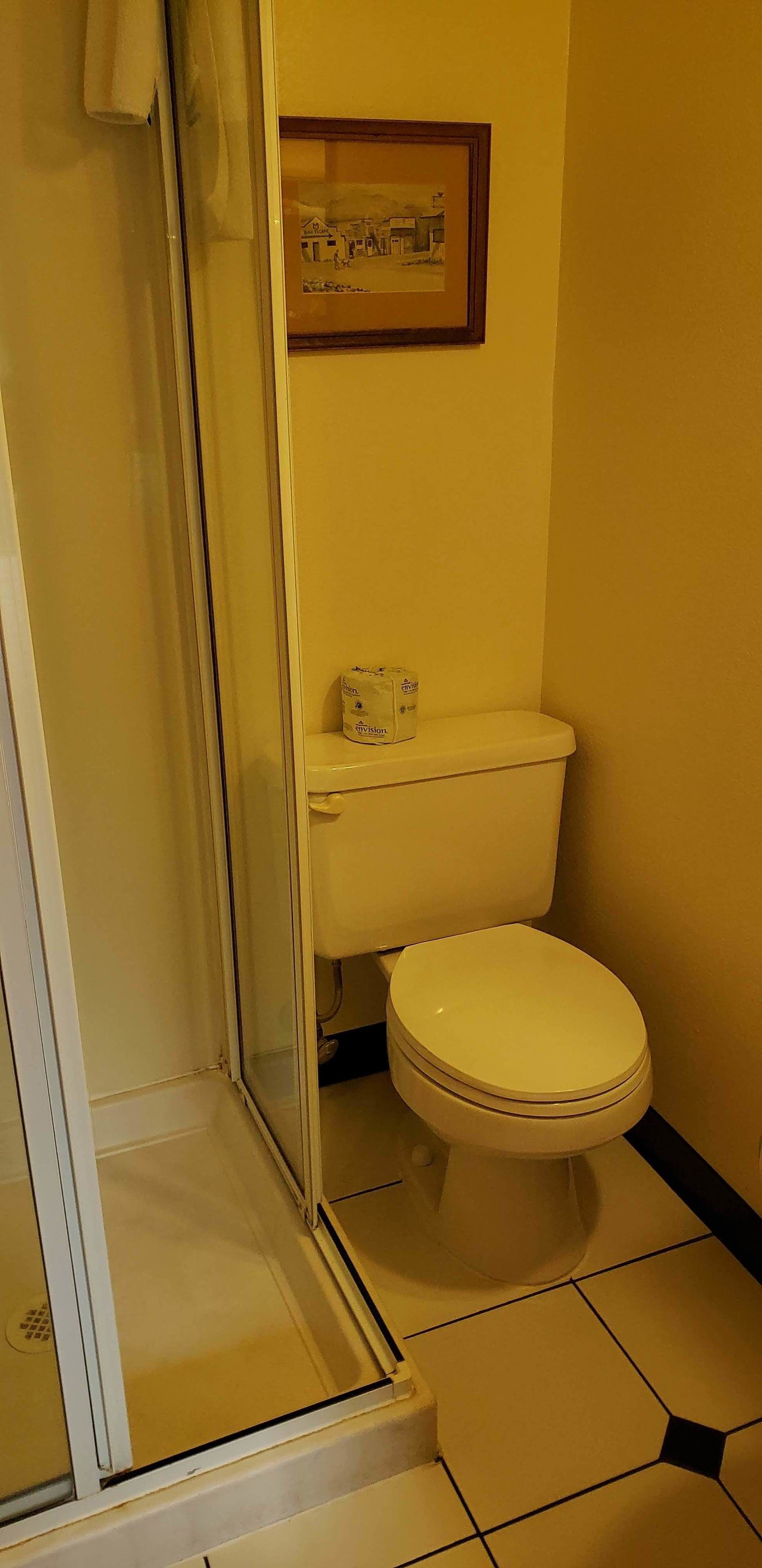 Une salle de bain avec des toilettes, un tableau encadré au mur et un espace douche.