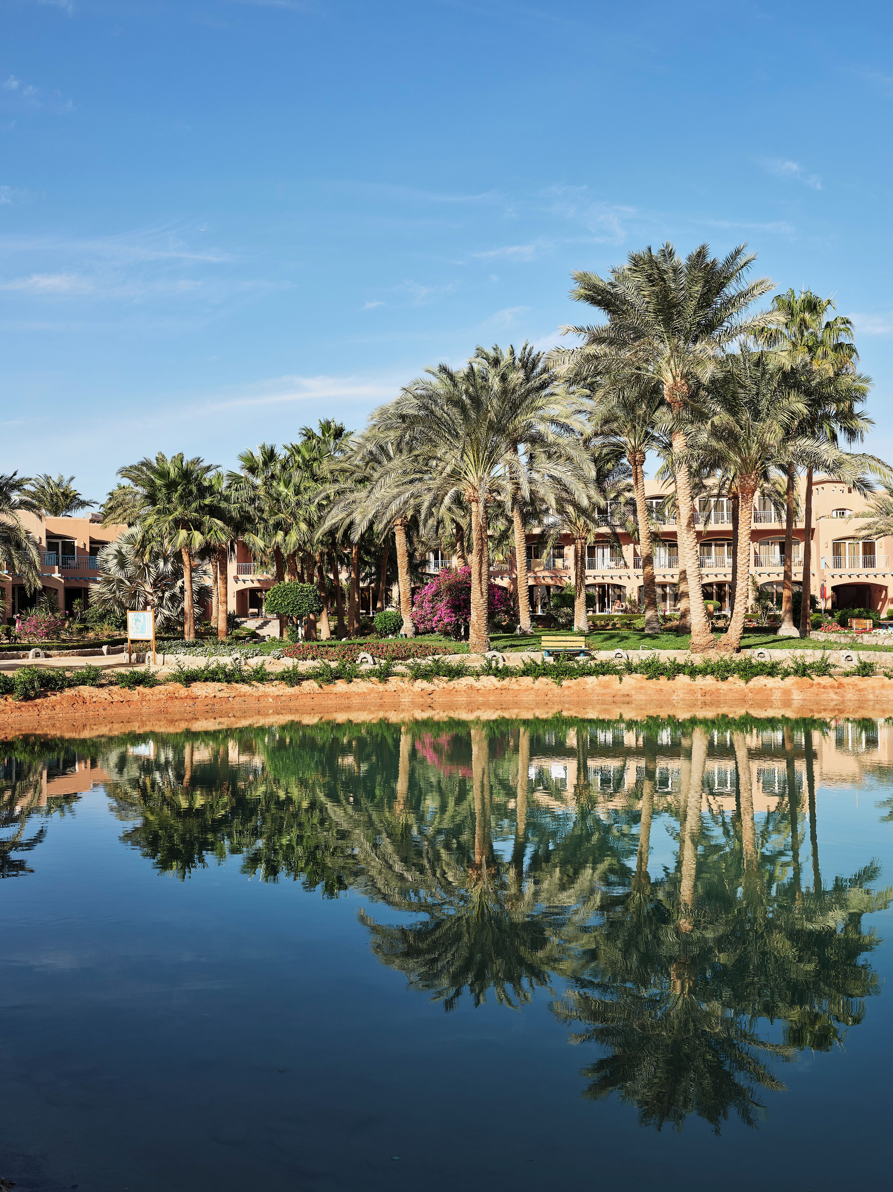 Foto - Club Paradisio El Gouna Red Sea