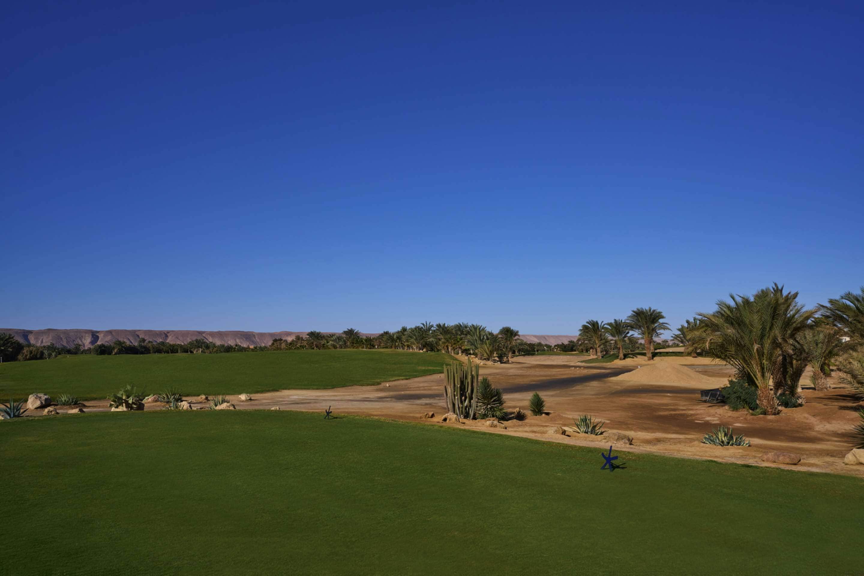 Ein Golfplatz mit blauem Himmel, saftigem Grün, Palmen und einer Wüstenlandschaft im Hintergrund.