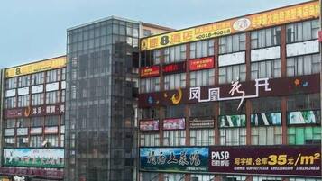 外觀