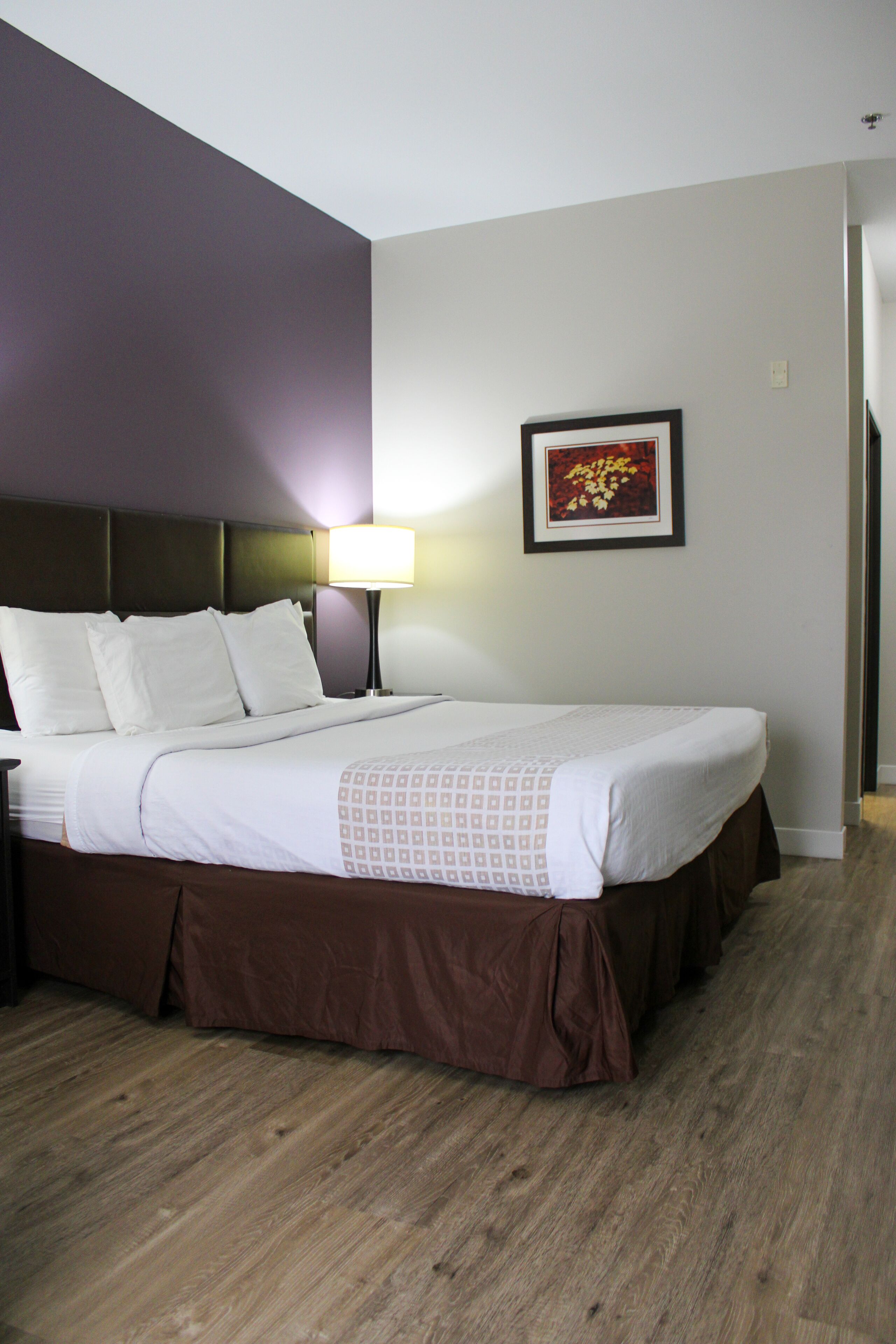 premium bedding, tempur-pedic beds, desk, blackout curtains