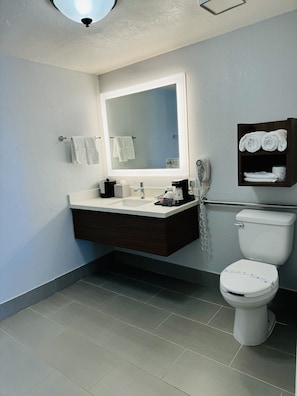 Features a sleek vanity with sink, large mirror, and dark cabinet above the toilet.