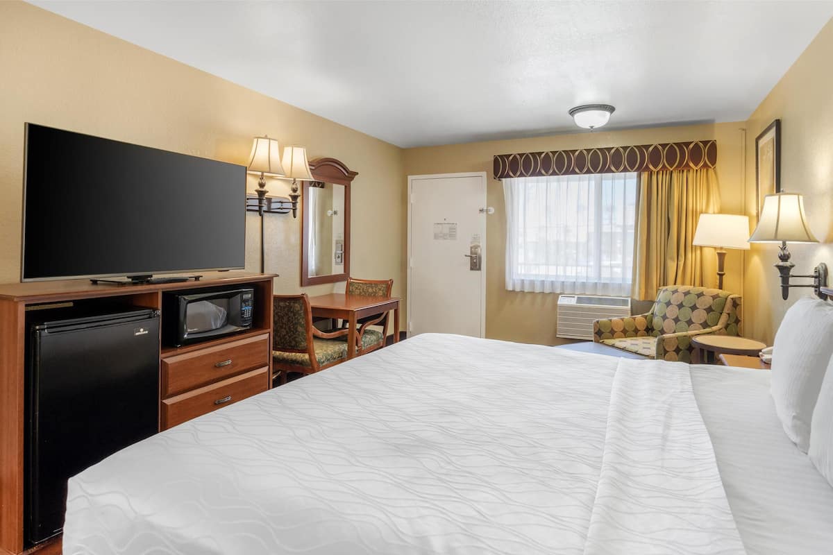 A hotel room with a large bed, a television, a microwave, a refrigerator, a desk with a chair, and a window with curtains.