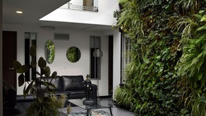 A modern living room with a black sofa, a coffee table, and a potted plant. - Hotel DC Feria (Bogotá)