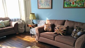 A living room with a brown sofa, a wooden coffee table, and a zebra-patterned cushion. - Melrose Guest House (Douglas)