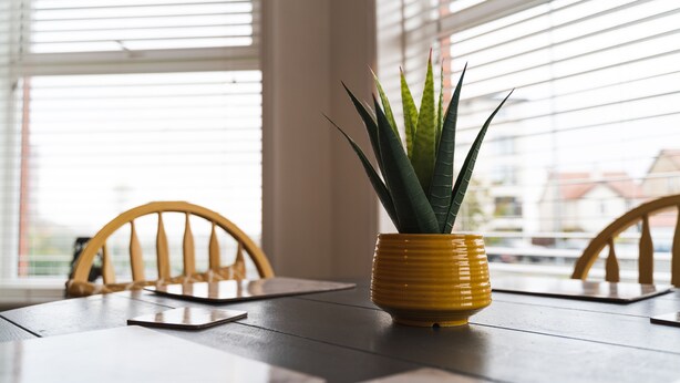 Una mesa de comedor con una maceta amarilla que contiene una planta, sillas de madera y una ventana con persianas.