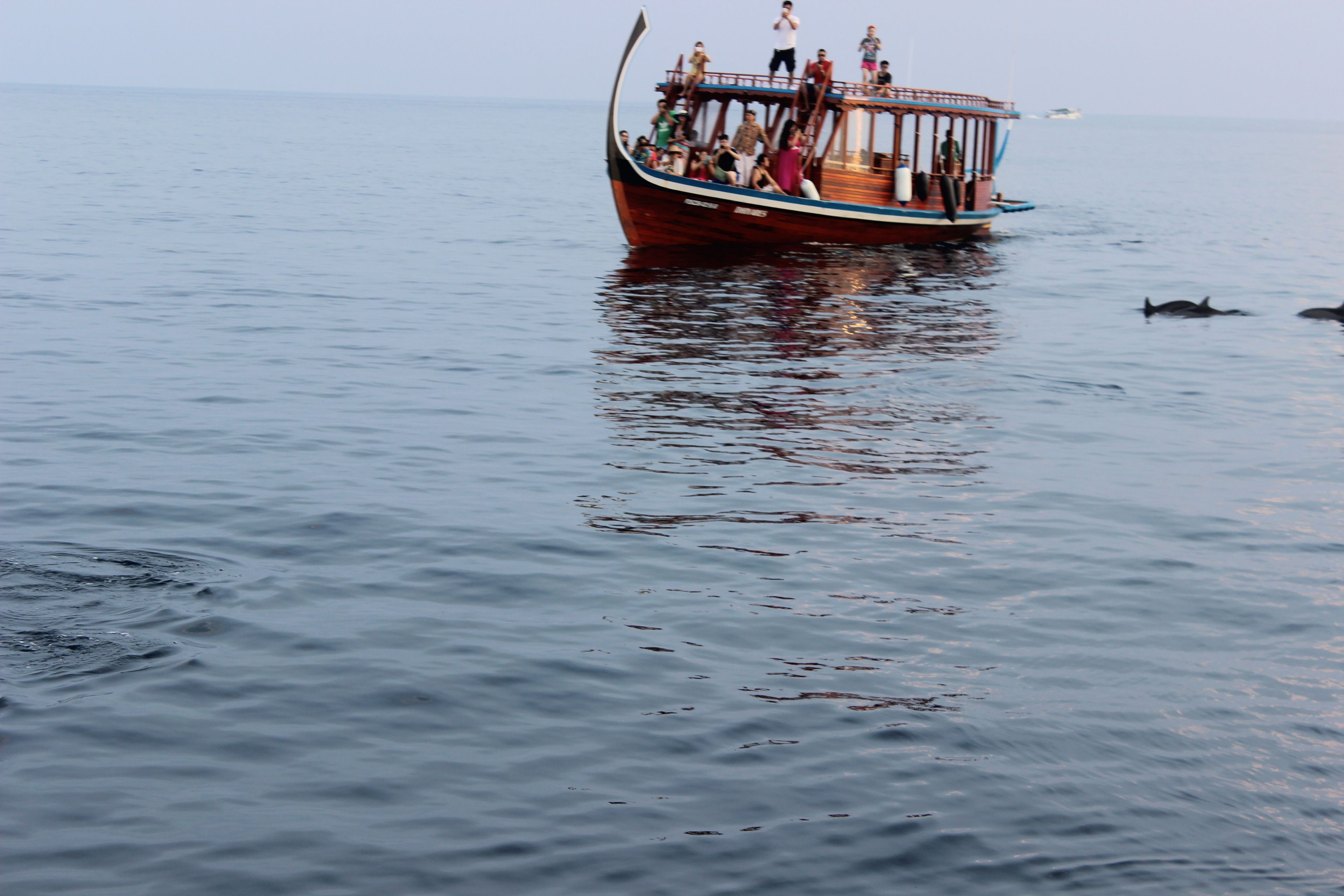 Un barco con pasajeros y delfines en el agua.