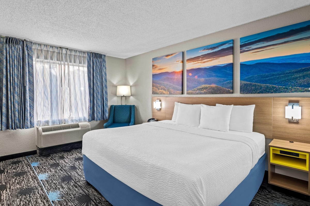 Room, 1 King Bed, Non Smoking | Desk, blackout drapes, soundproofing, iron/ironing board