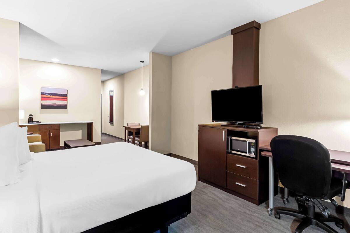 A hotel room with a bed, desk, chair, television, and microwave.