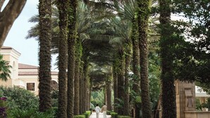 A pathway lined with tall, vertically planted trees and well-maintained greenery, leading towards a building with classical architecture. - Four Seasons Resort Orlando at WALT DISNEY WORLD® Resort (Lake Buena Vista)