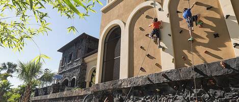A climbing wall with multiple routes, a stone building with arches, and a palm tree in the foreground.