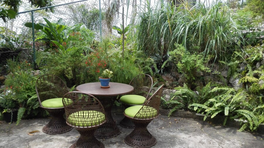 Neita's Nest - Jamaican Bed & Breakfast