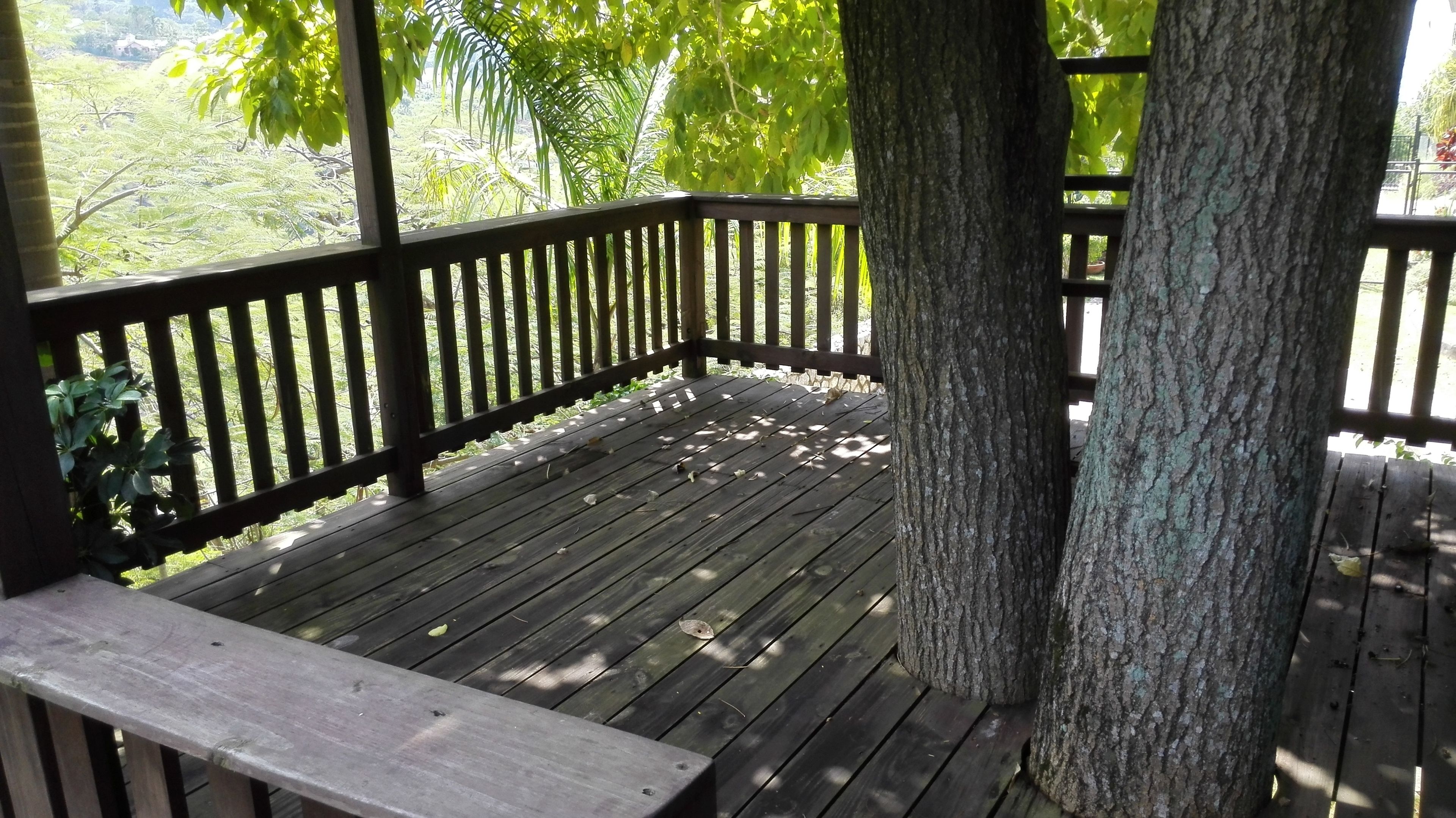 Photo - Neita's Nest