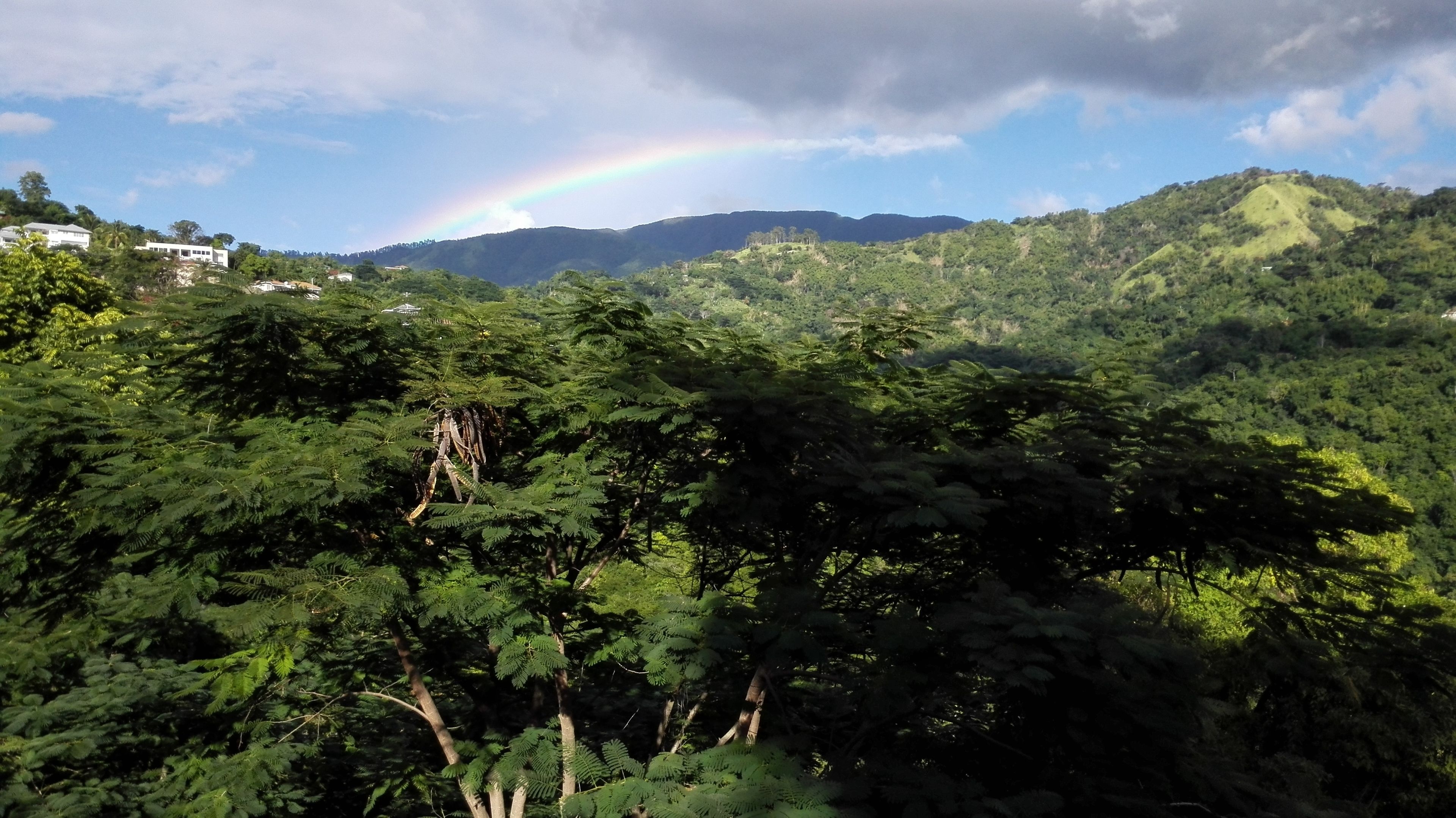 Photo - Neita's Nest