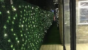 Un sendero de madera que conduce a un edificio con fachada de vidrio.