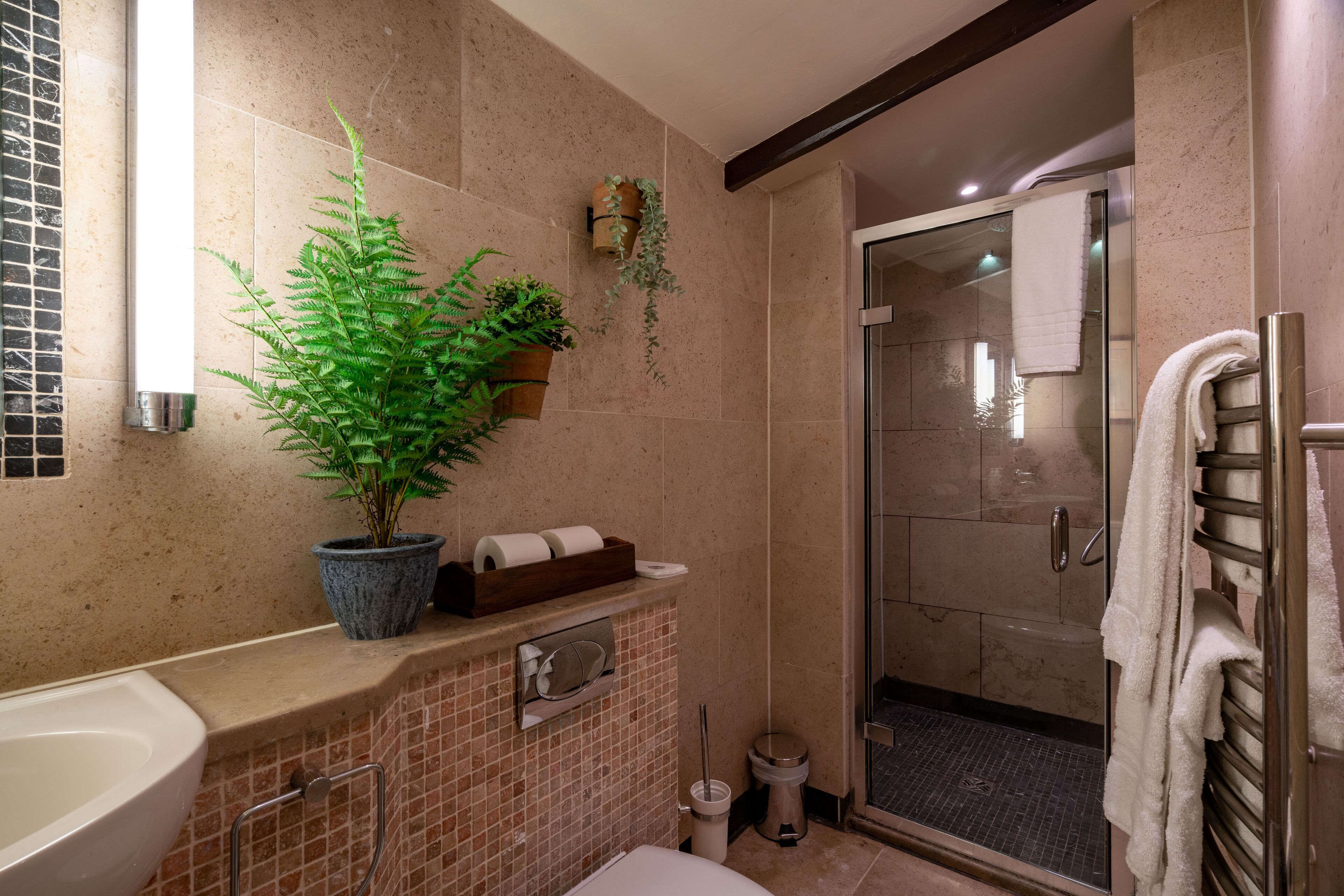 A bathroom with a shower, a sink, a potted plant, and a towel rack.