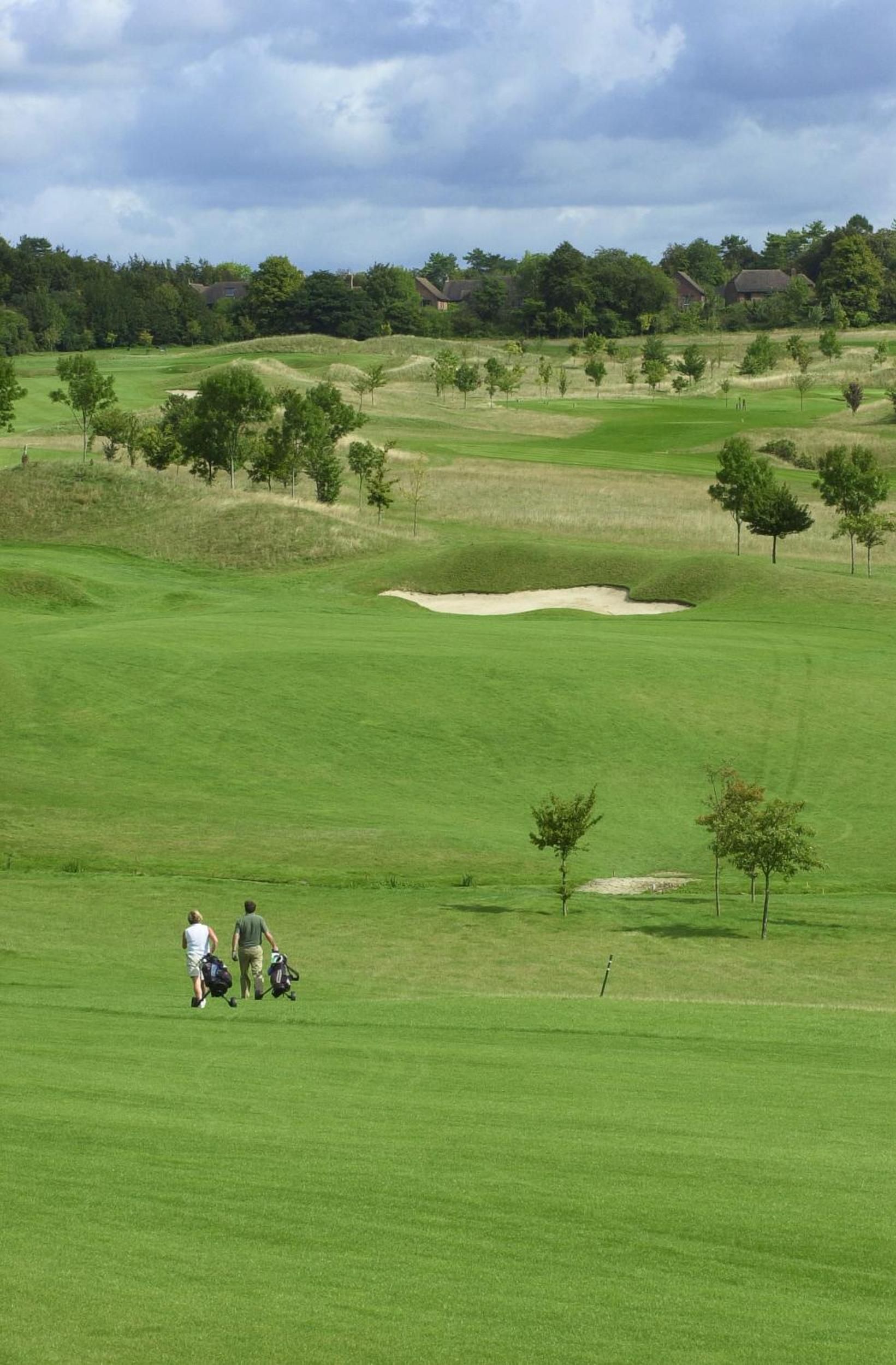 A golf course with sand bunkers, trees, and a clear sky.