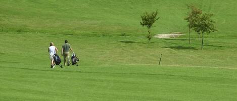 A golf course with sand bunkers, trees, and a clear sky.