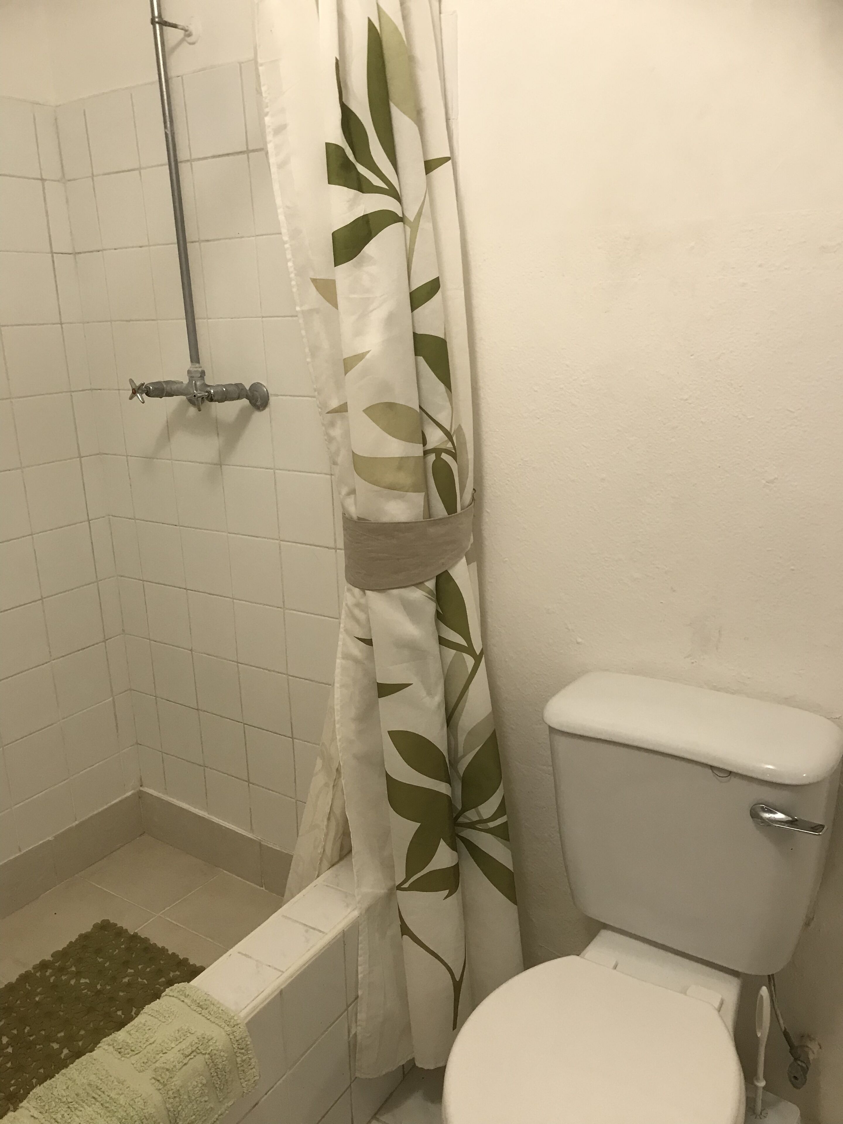 Ein Badezimmer mit Dusche, Toilette und einem Duschvorhang mit grünem Blattmuster.
