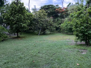 Vista del jardí
